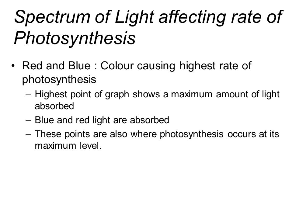 Spectrum of Light affecting rate of Photosynthesis