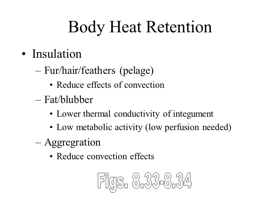 Extreme Temperatures and Thermal Tolerance - ppt download