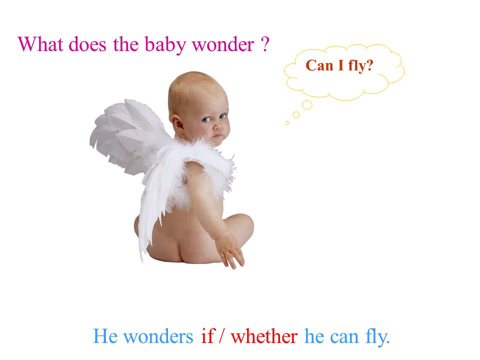 What does the baby wonder