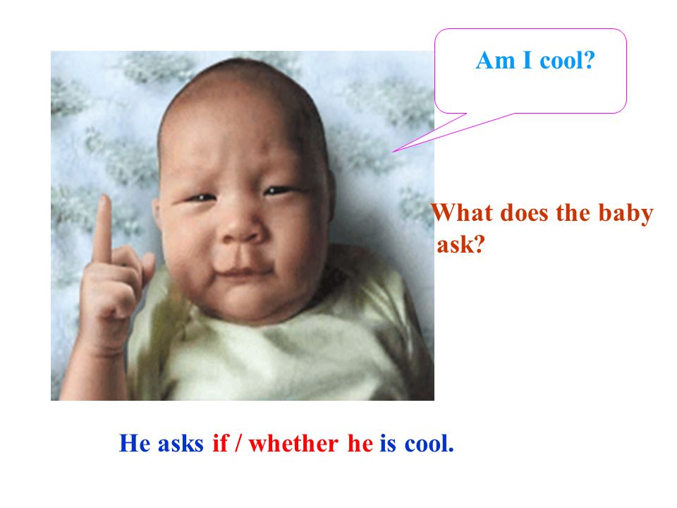 Am I cool What does the baby ask He asks if / whether he is cool.