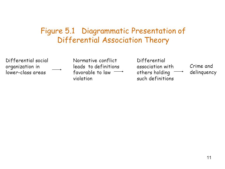 differential social organization theory