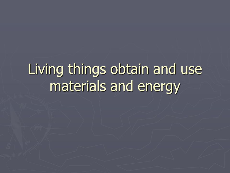 Living things obtain and use materials and energy