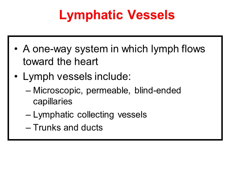 Microcirculation And Lymphatic System Ppt Video Online Download