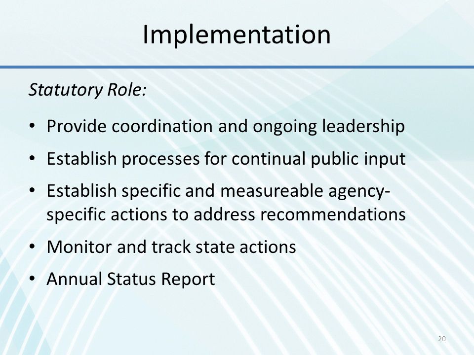 Implementation Statutory Role:
