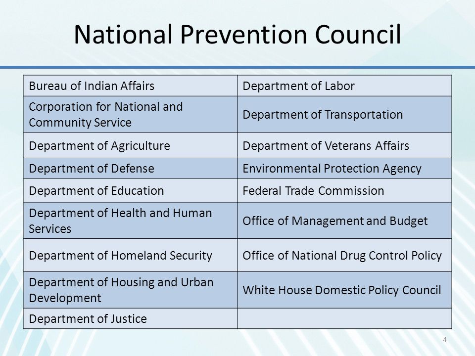 National Prevention Council