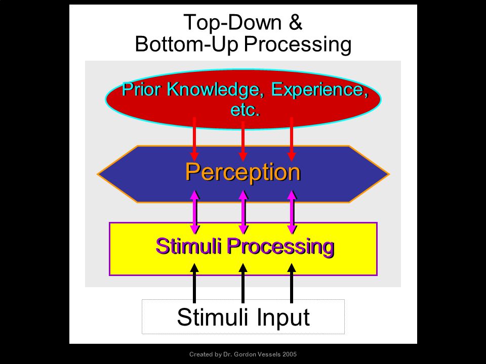 Top-Down versus Bottom-Up Perception - ppt video online download