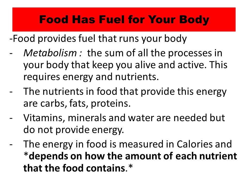 Food Has Fuel for Your Body