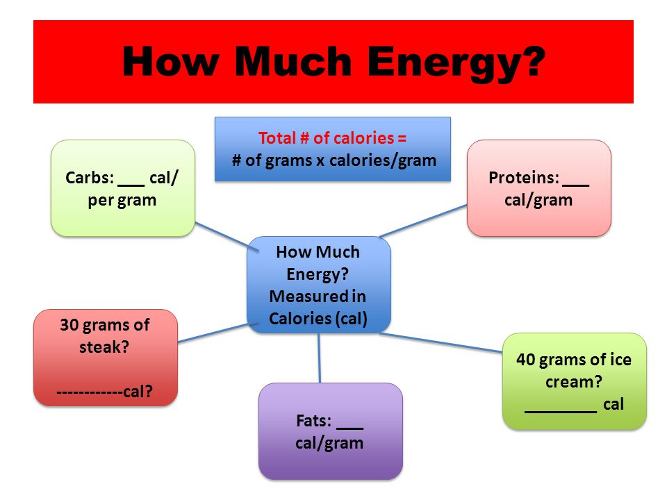 How Much Energy Total # of calories = # of grams x calories/gram