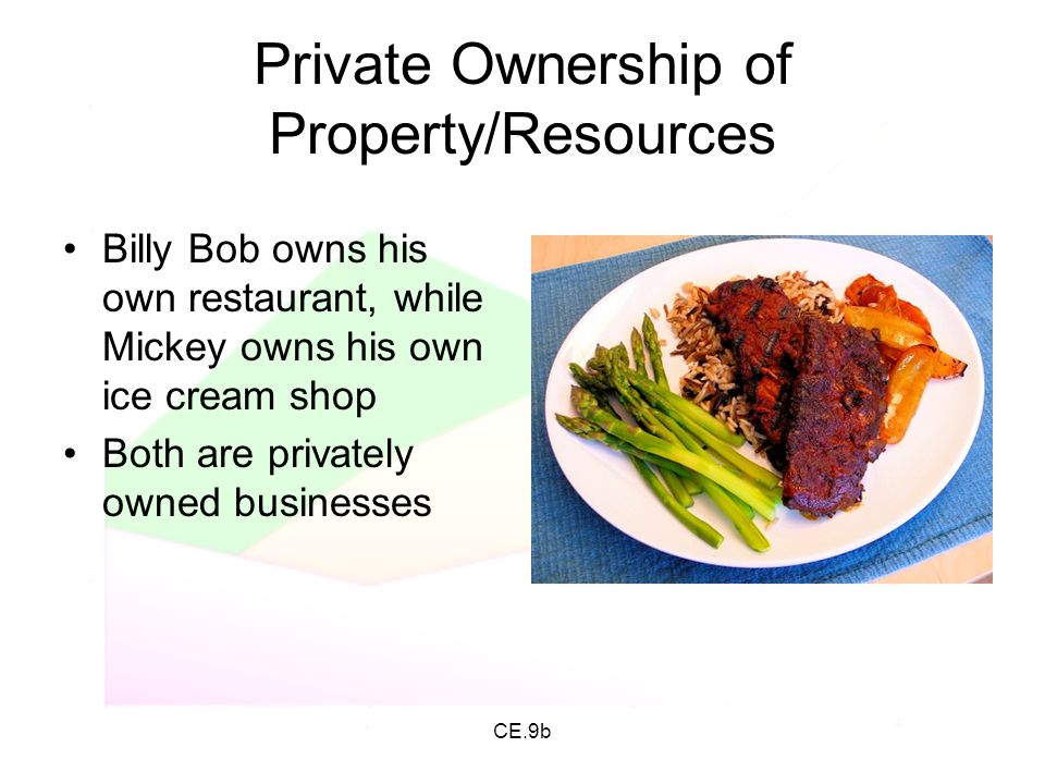 Private Ownership of Property/Resources
