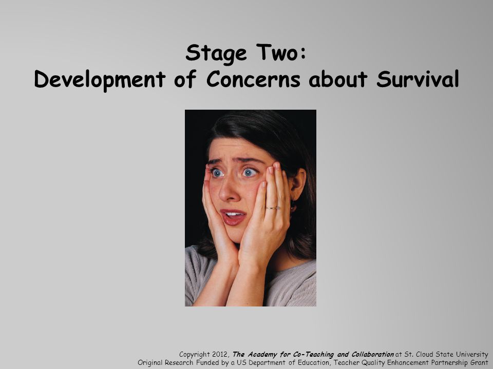 Stage Two: Development of Concerns about Survival