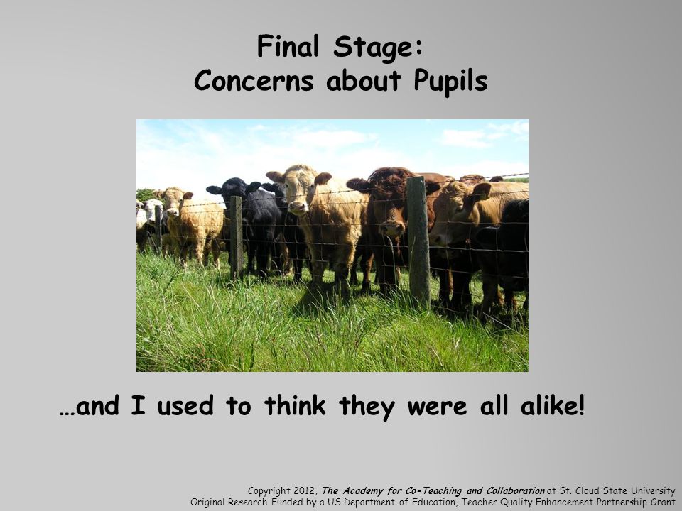 Final Stage: Concerns about Pupils