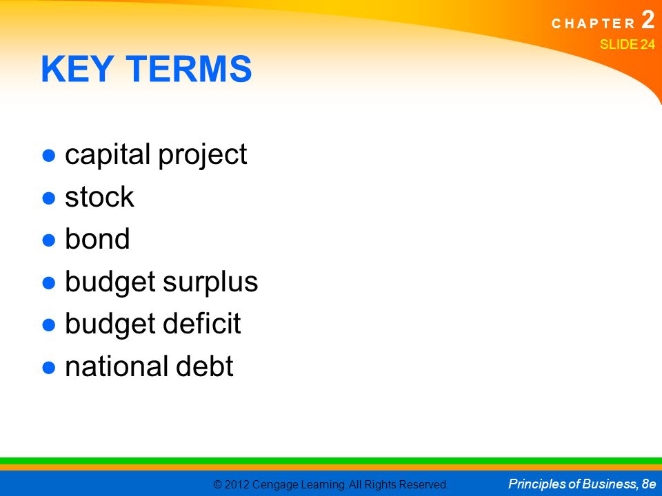 KEY TERMS capital project stock bond budget surplus budget deficit