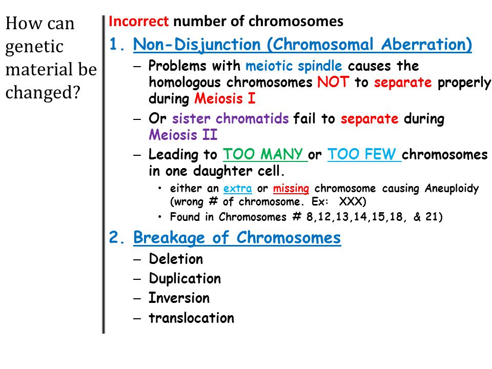 Image result for errors during meiosis