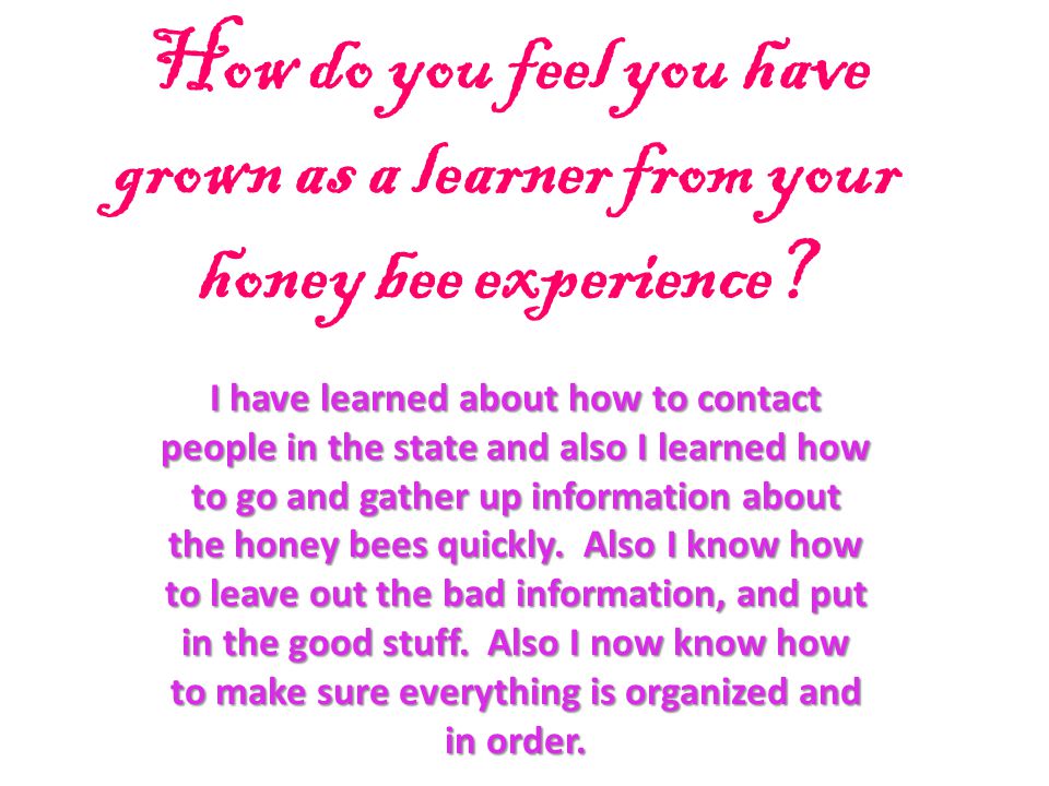 How do you feel you have grown as a learner from your honey bee experience