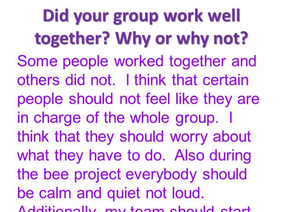 Did your group work well together Why or why not