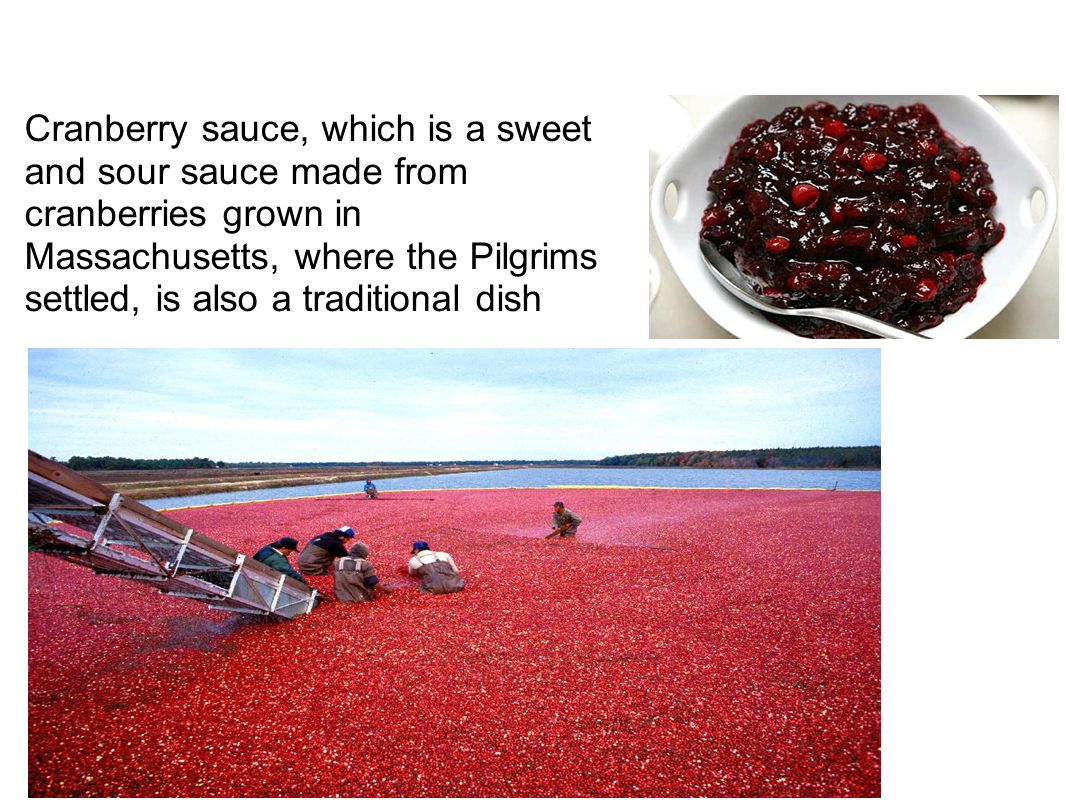 Cranberry sauce, which is a sweet and sour sauce made from cranberries grown in Massachusetts, where the Pilgrims settled, is also a traditional dish