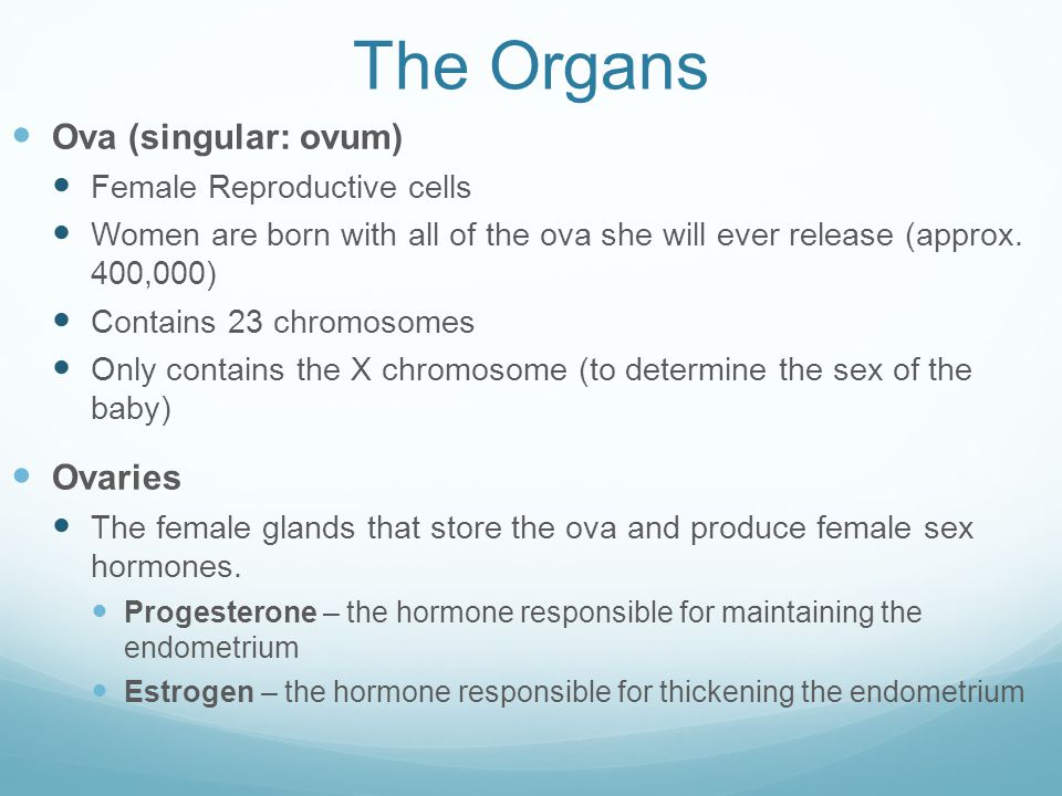 The Organs Ova (singular: ovum) Ovaries Female Reproductive cells