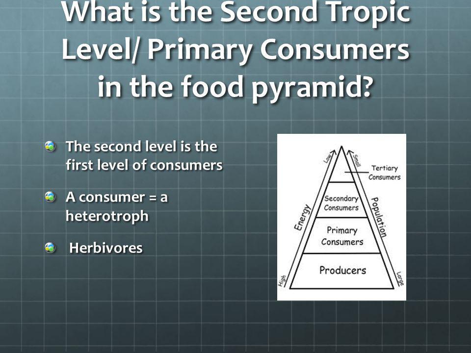 What is the Second Tropic Level/ Primary Consumers in the food pyramid