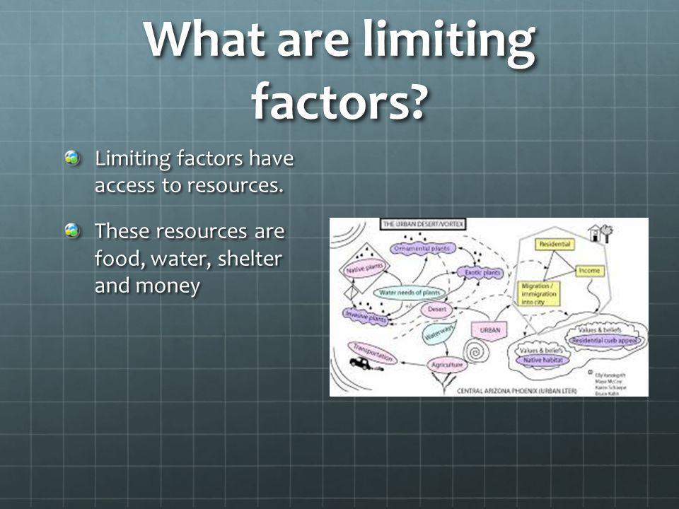 What are limiting factors