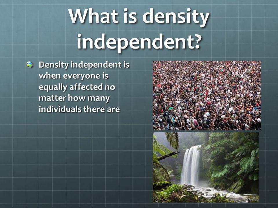 What is density independent