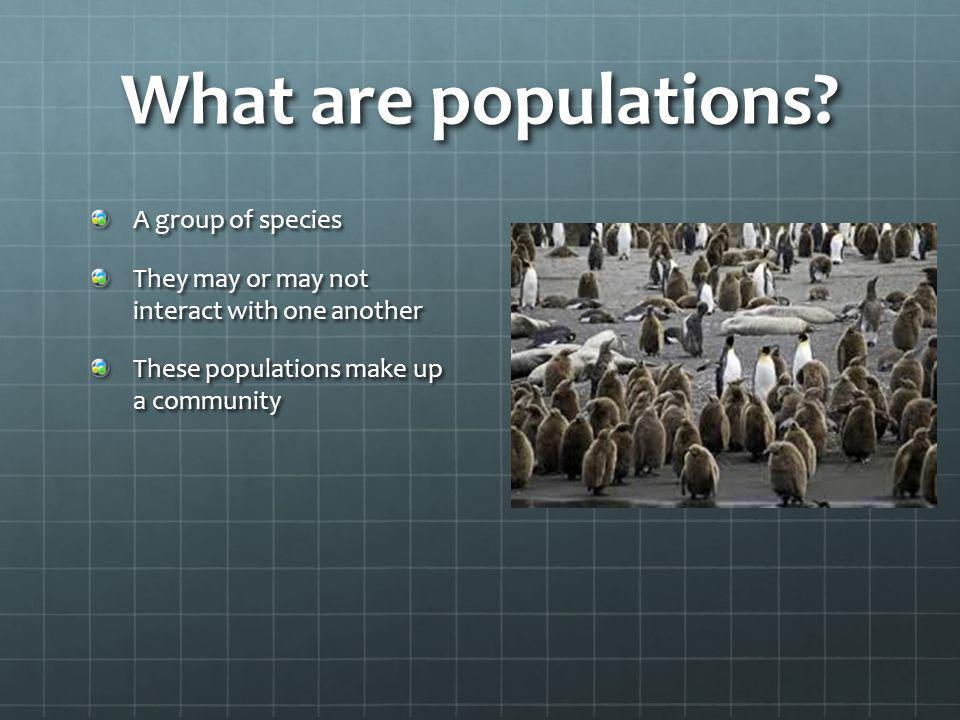 What are populations A group of species