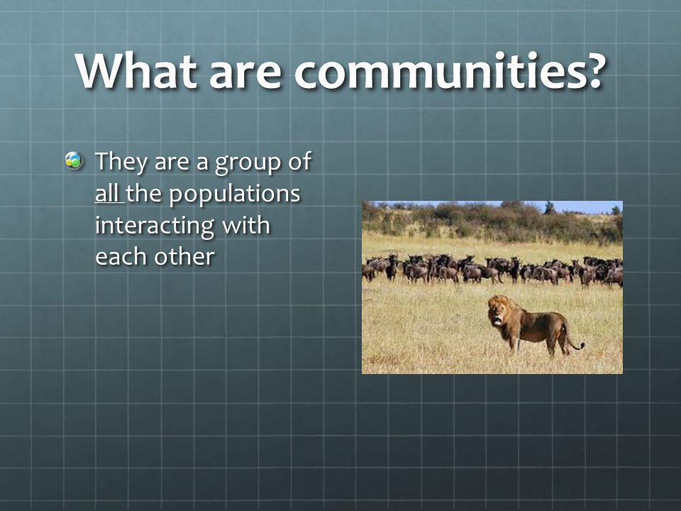 What are communities They are a group of all the populations interacting with each other