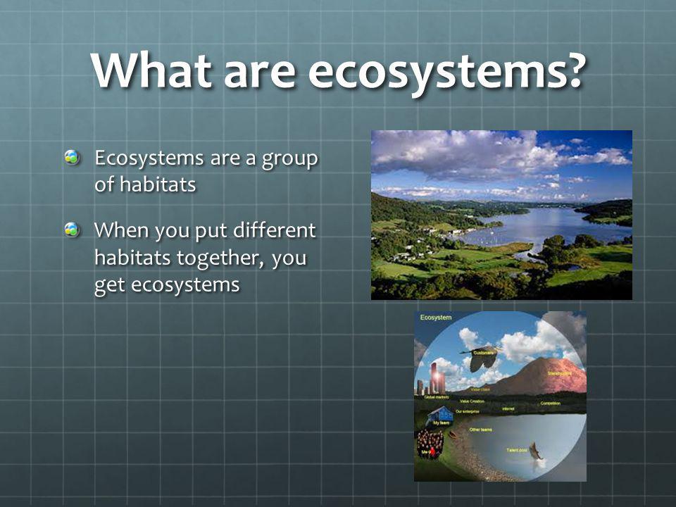 What are ecosystems Ecosystems are a group of habitats