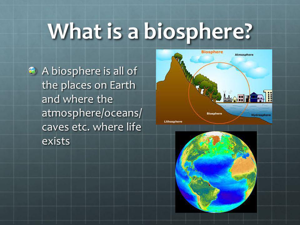 What is a biosphere.