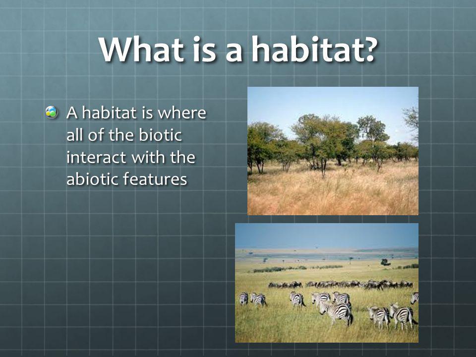 What is a habitat A habitat is where all of the biotic interact with the abiotic features