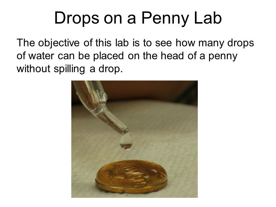 Drops on a Penny Lab The objective of this lab is to see how many drops of water can be placed on the head of a penny without spilling a drop.