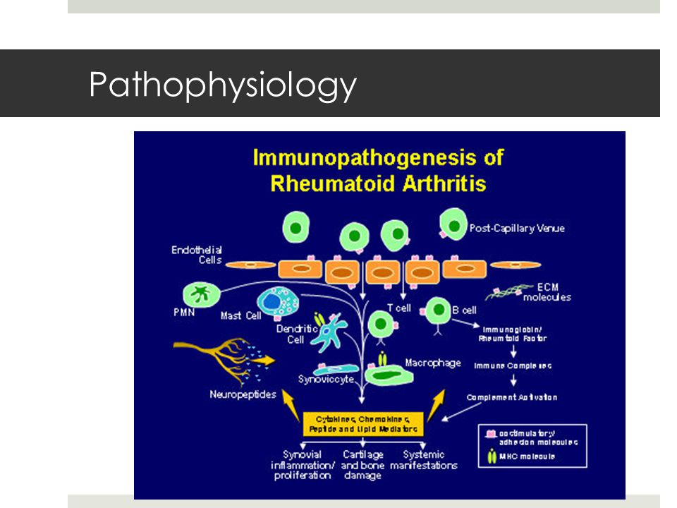 Rheumatoid arthritis pathogenesis ppt, Anti TNF-a ter - PowerPoint PPT Presentation
