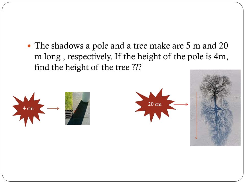 The shadows a pole and a tree make are 5 m and 20 m long , respectively. If the height of the pole is 4m, find the height of the tree