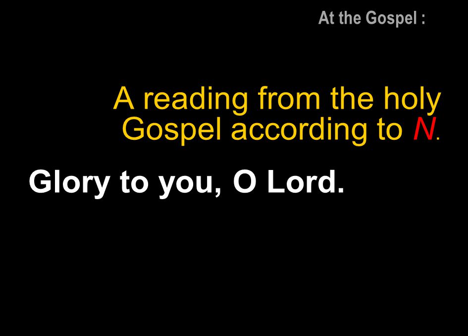 A reading from the holy Gospel according to N. Glory to you, O Lord.