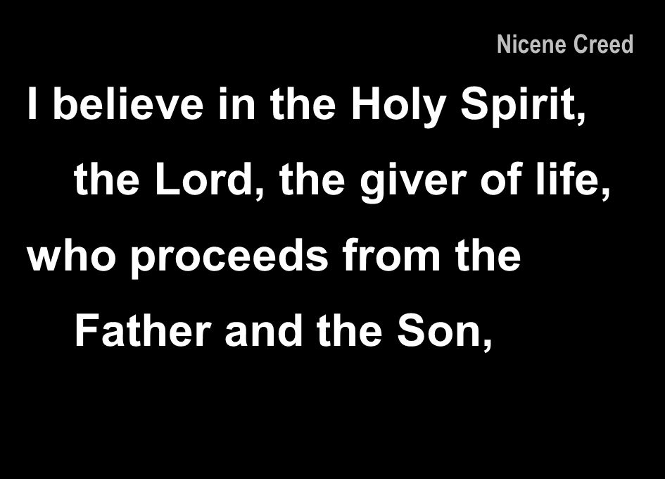 I believe in the Holy Spirit, the Lord, the giver of life,
