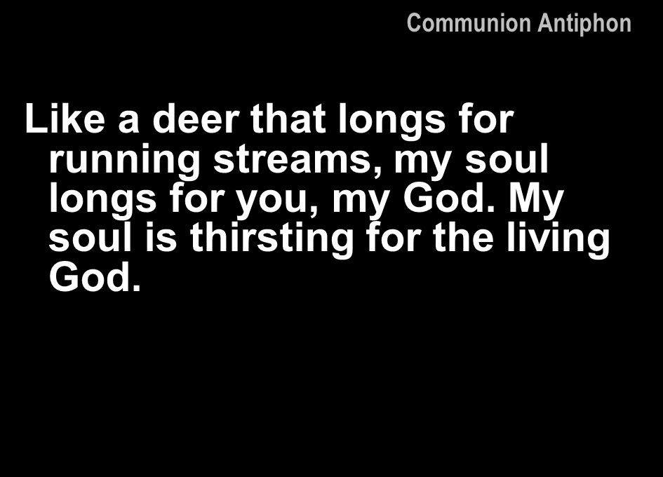 Communion Antiphon Like a deer that longs for running streams, my soul longs for you, my God.