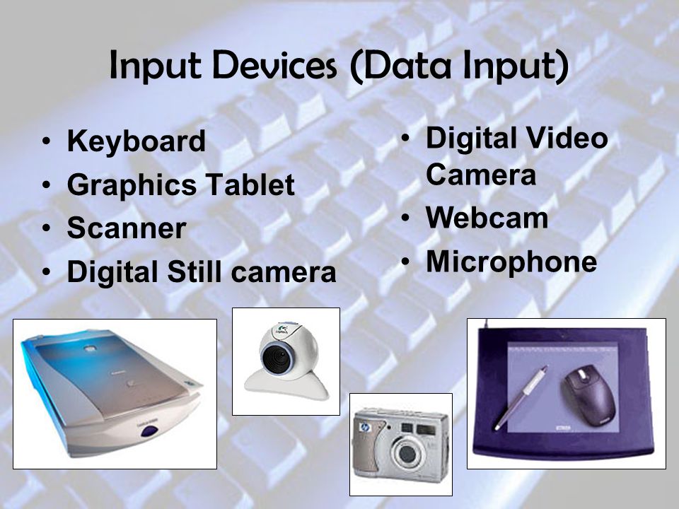 Input Devices (Data Input)