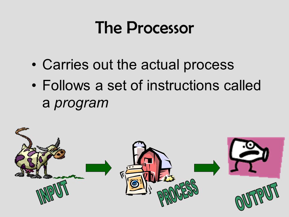 The Processor Carries out the actual process