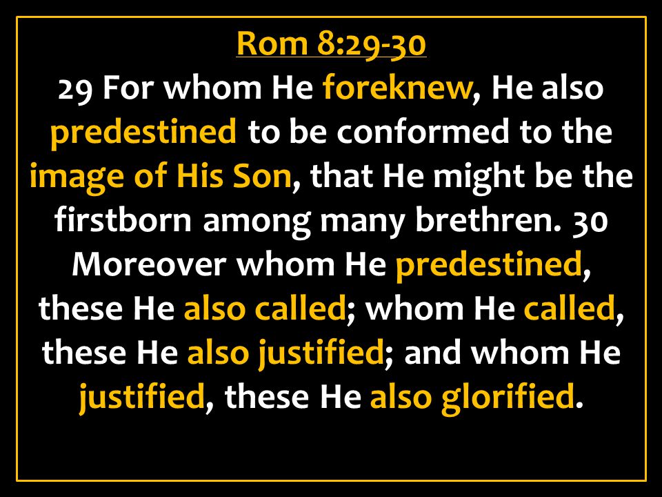 Rom 8:29-30