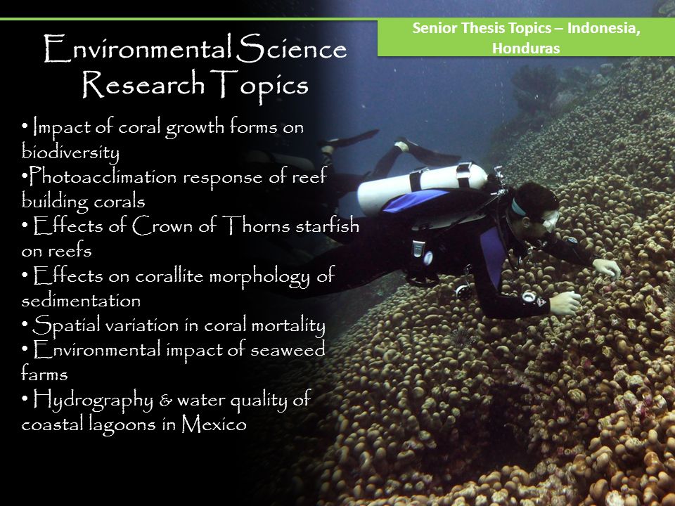 environmental science thesis ideas
