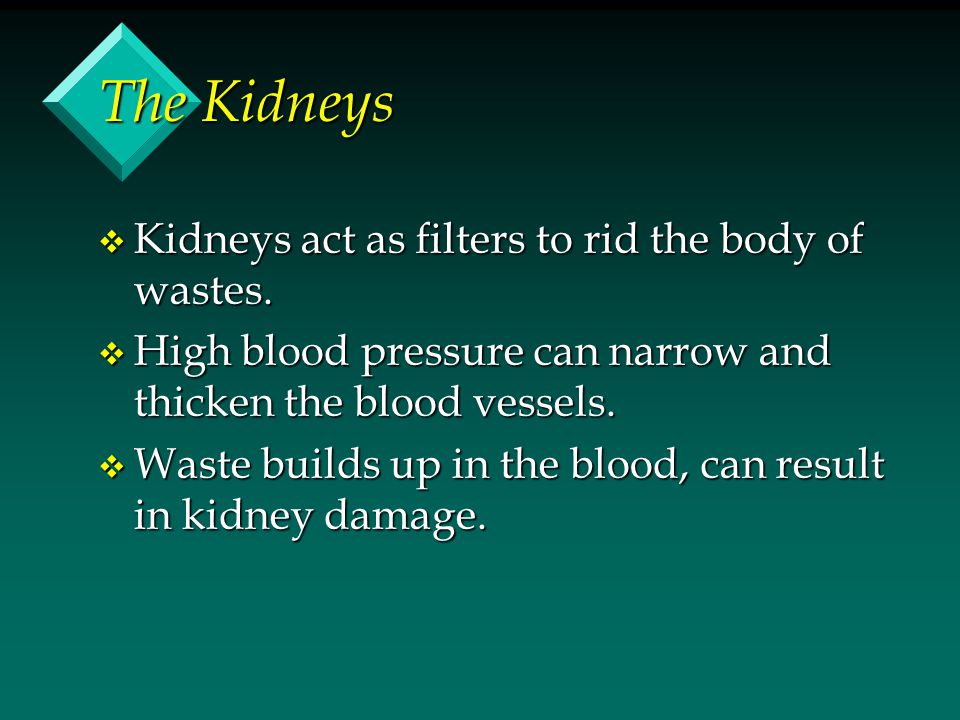 The Kidneys Kidneys act as filters to rid the body of wastes.