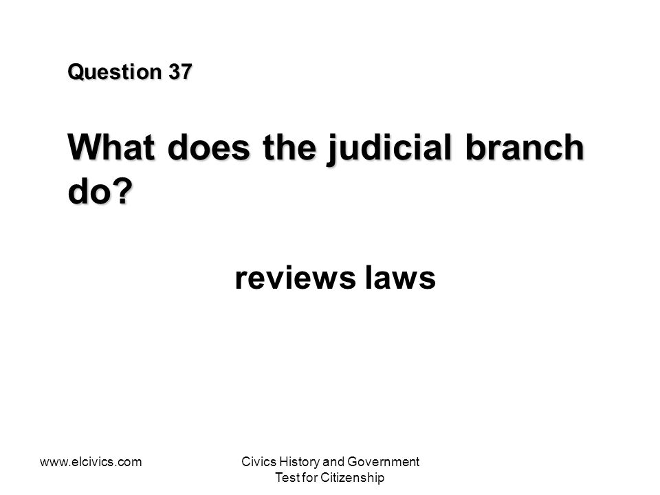 Question 37 What does the judicial branch do