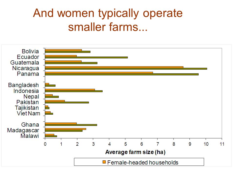 And women typically operate smaller farms...