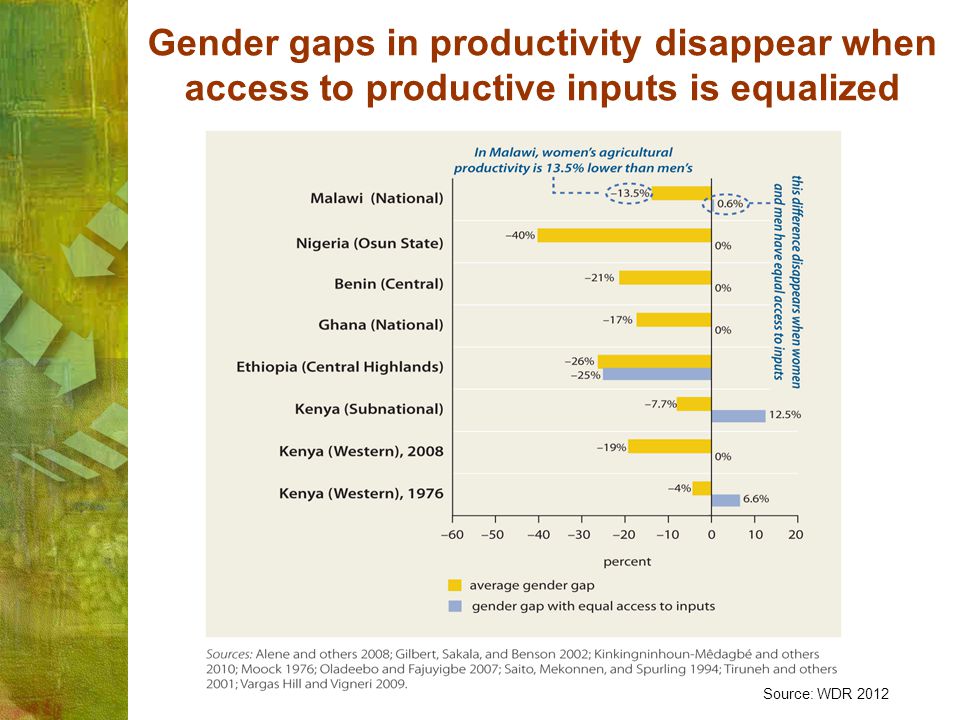 Gender gaps in productivity disappear when access to productive inputs is equalized