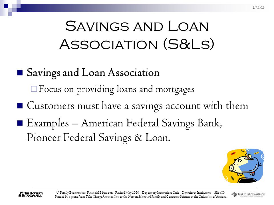 Savings and Loan Association (S&Ls)