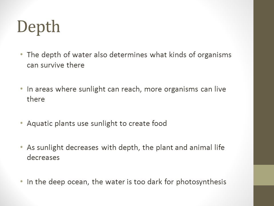 Depth The depth of water also determines what kinds of organisms can survive there. In areas where sunlight can reach, more organisms can live there.