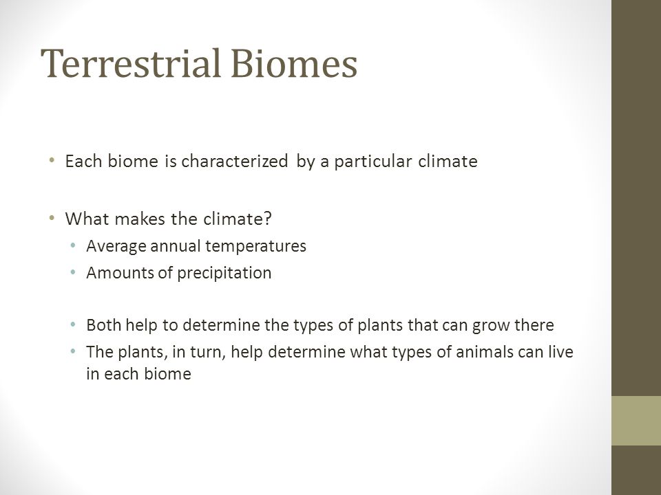 Terrestrial Biomes Each biome is characterized by a particular climate