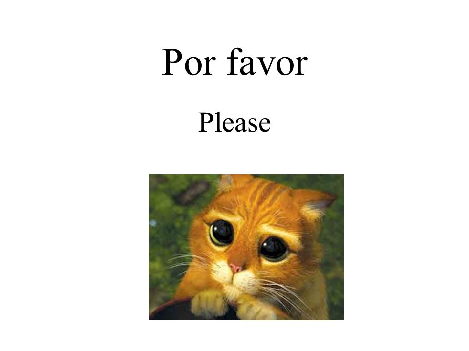 Por favor Please