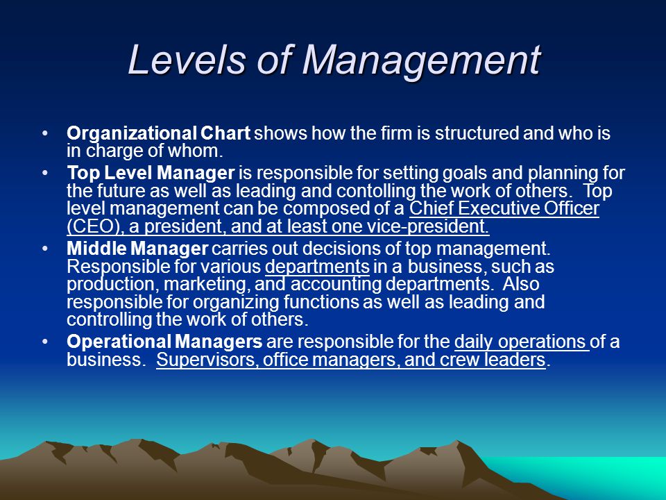 Levels of Management Organizational Chart shows how the firm is structured and who is in charge of whom.
