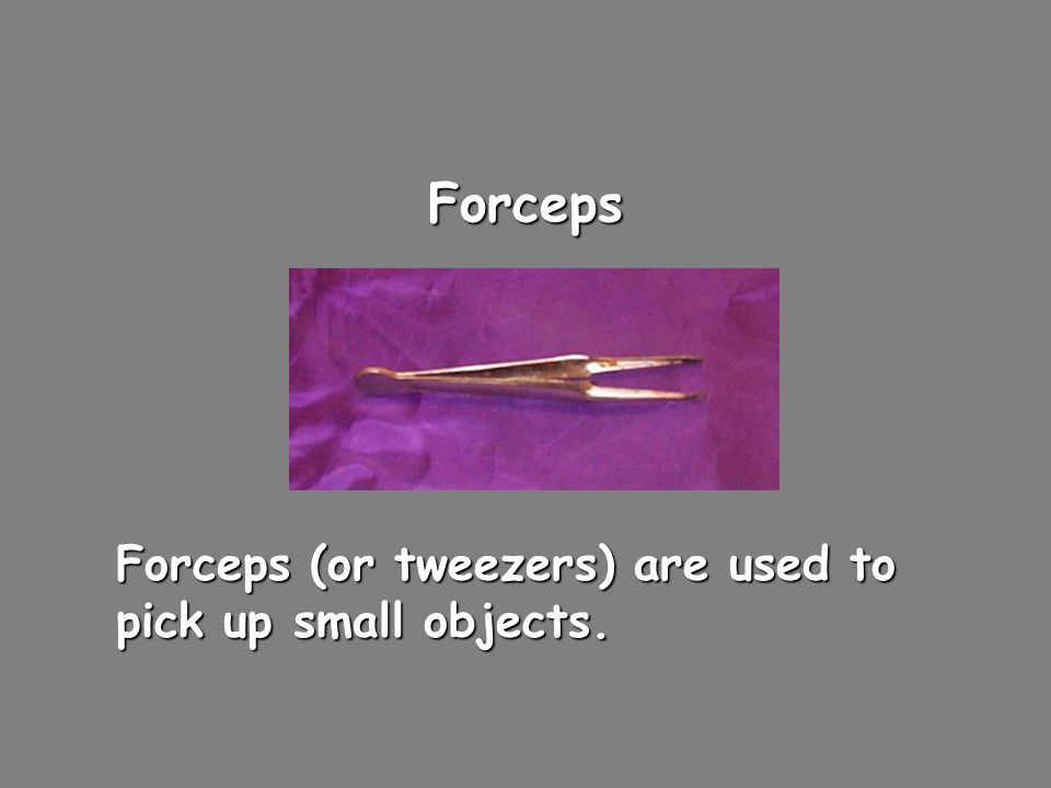 Forceps Forceps (or tweezers) are used to pick up small objects.