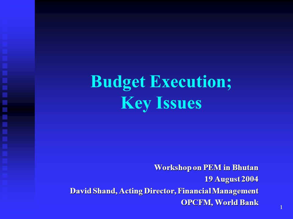 Budget Execution; Key Issues